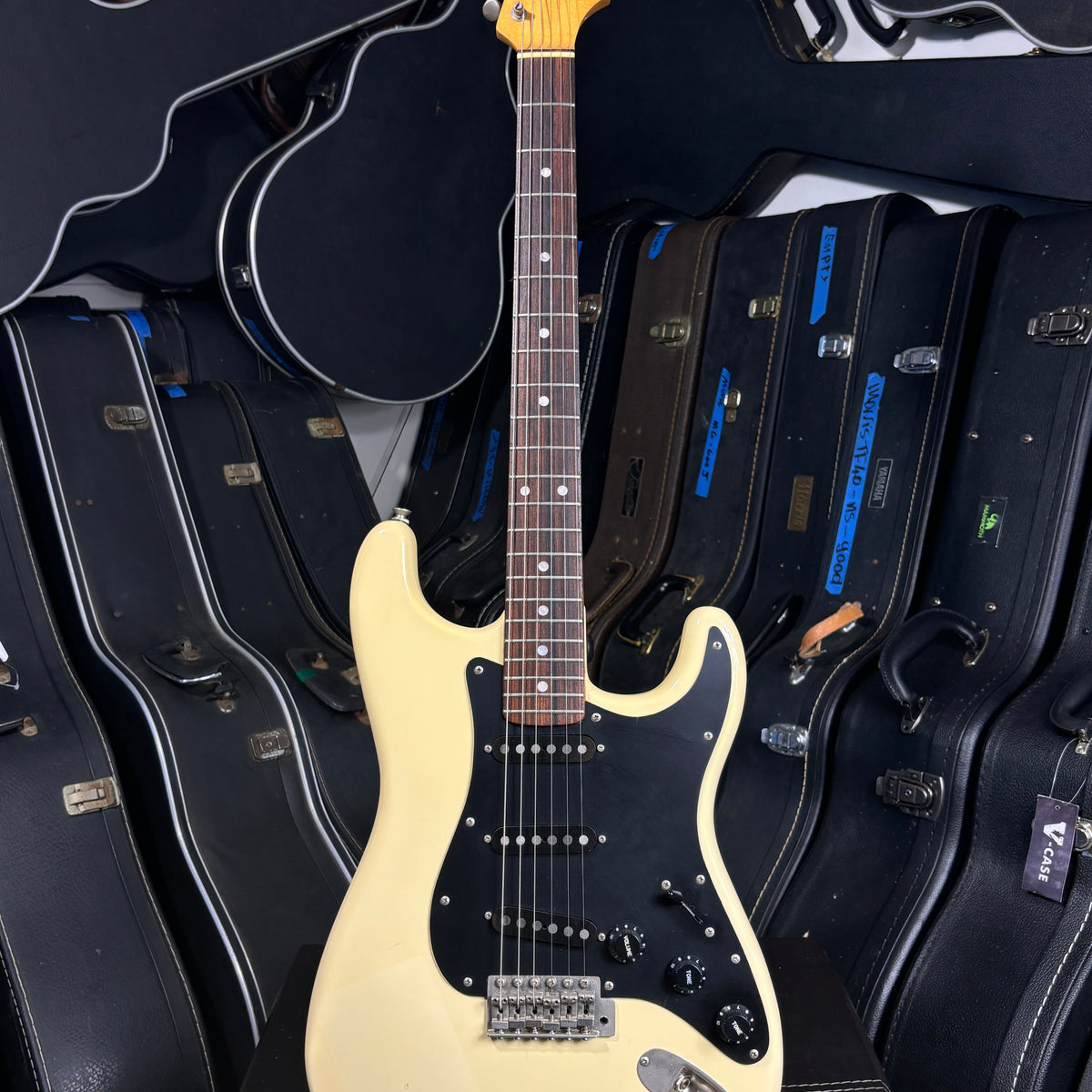 Fernandes – FST-50 