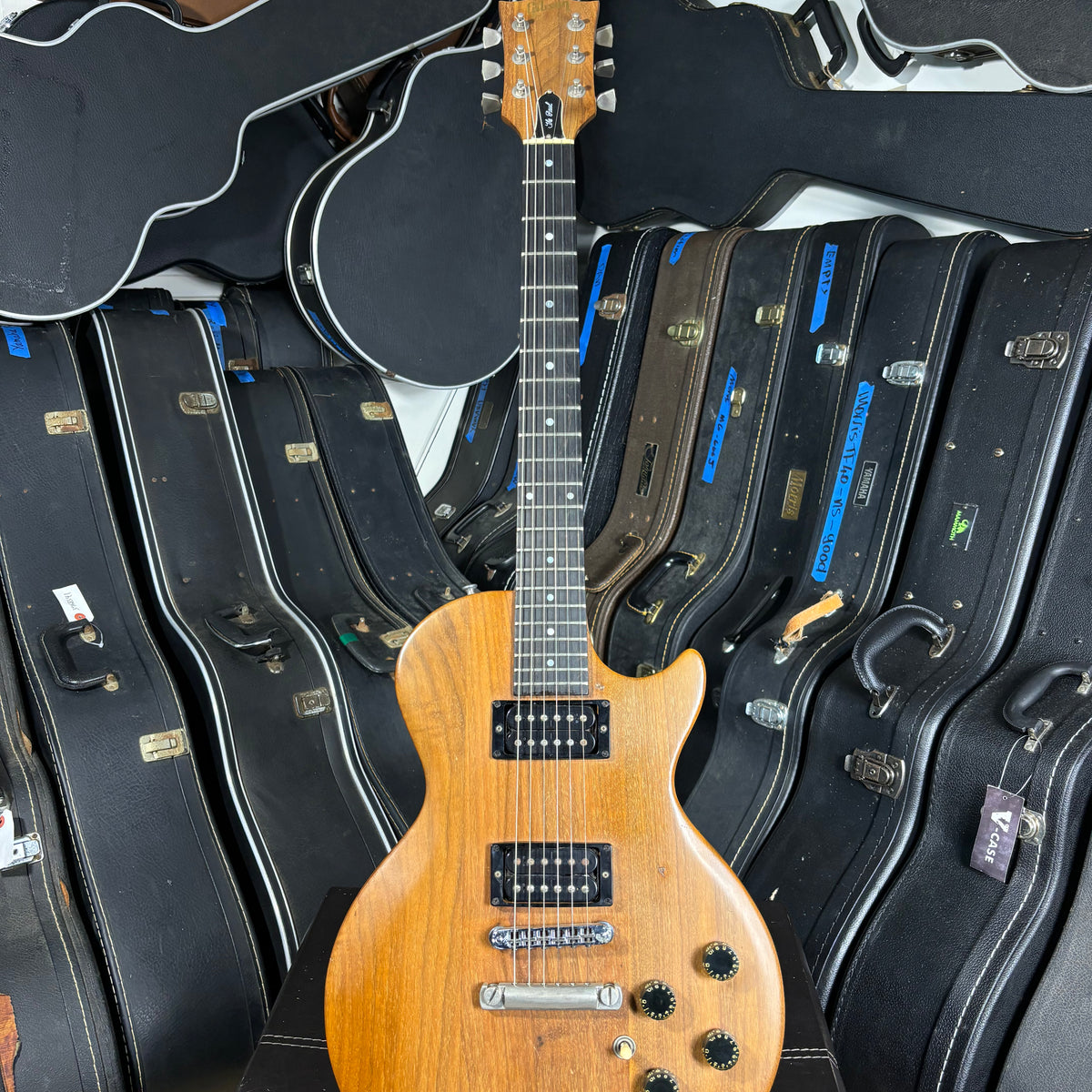 Gibson “The Paul” – 1979 USA Vintage Walnut Guitar | T-Top