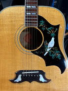 Gibson Dove – USA, 1993–1995