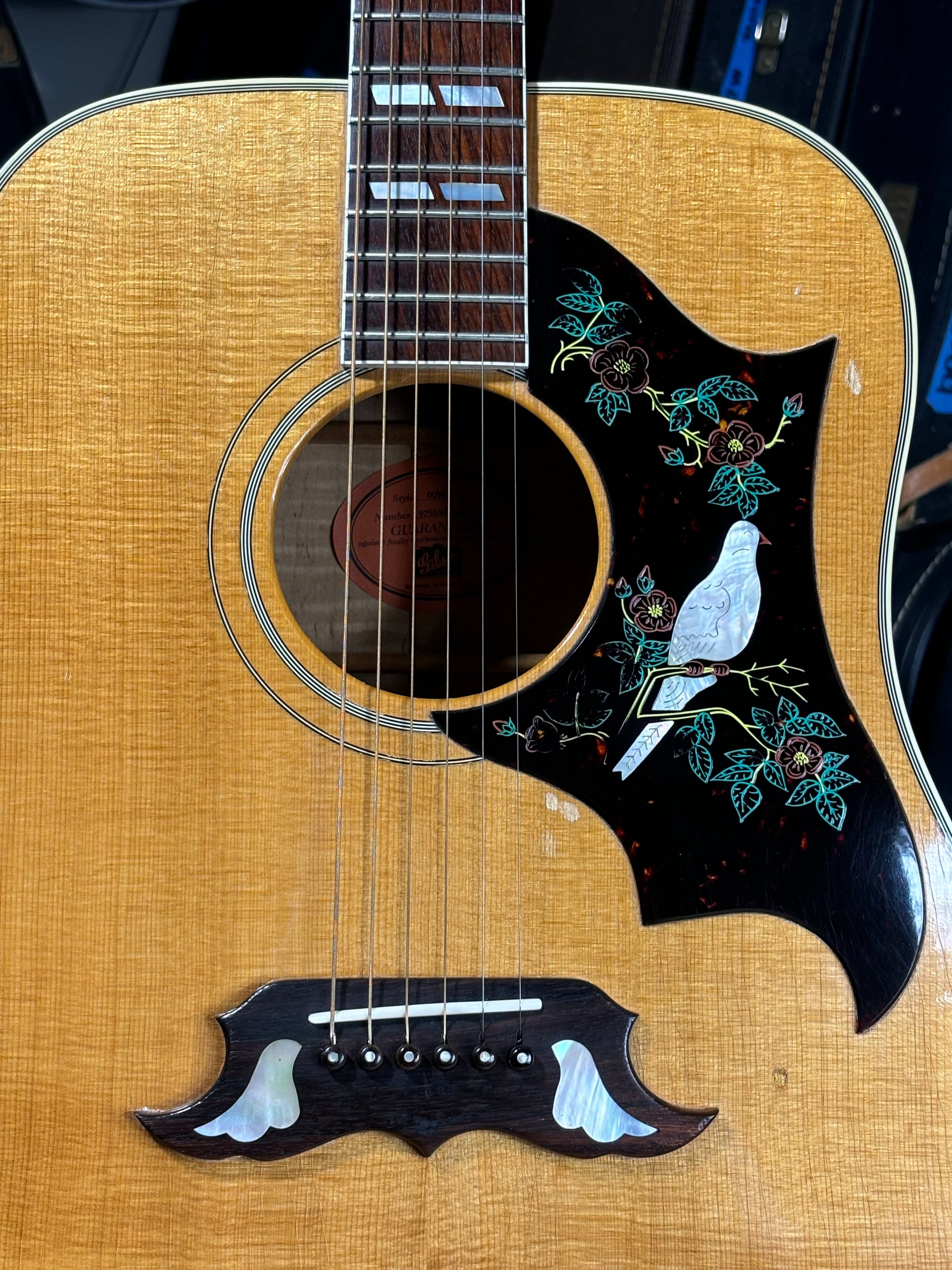 Gibson Dove – USA, 1993–1995 GiGi