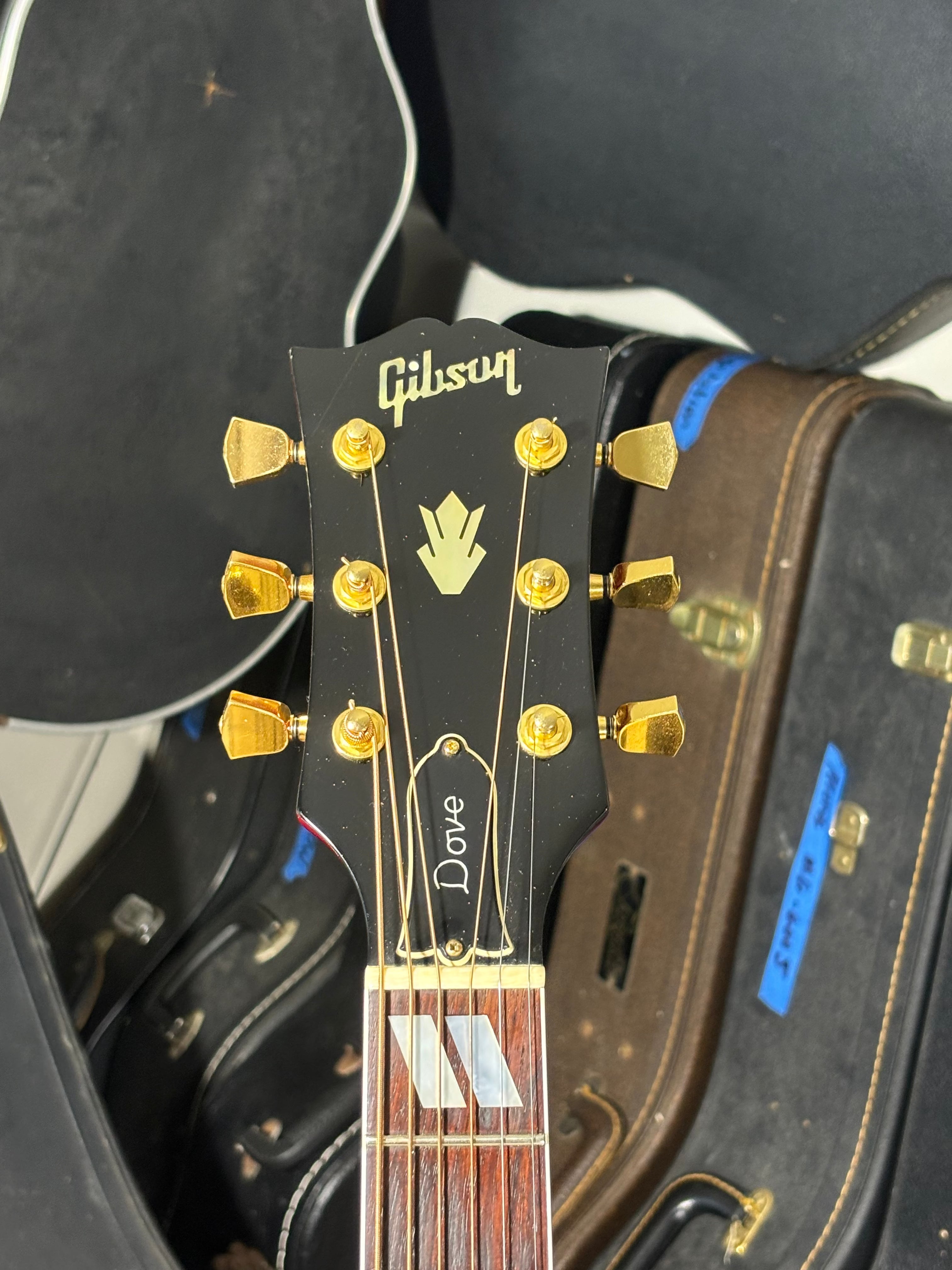 Gibson Dove – USA, 1993–1995 GiGi