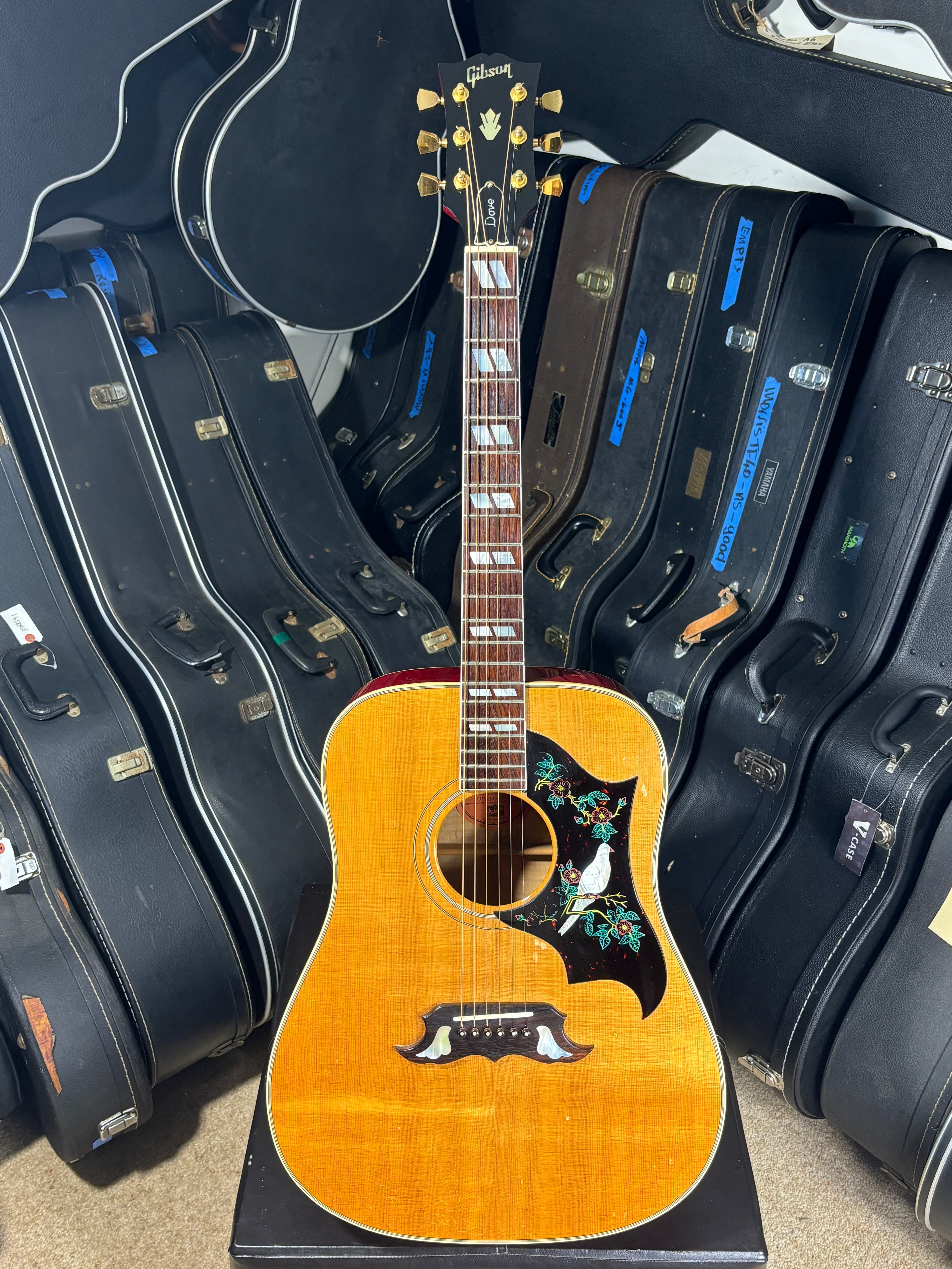 Gibson Dove – USA, 1993–1995 GiGi