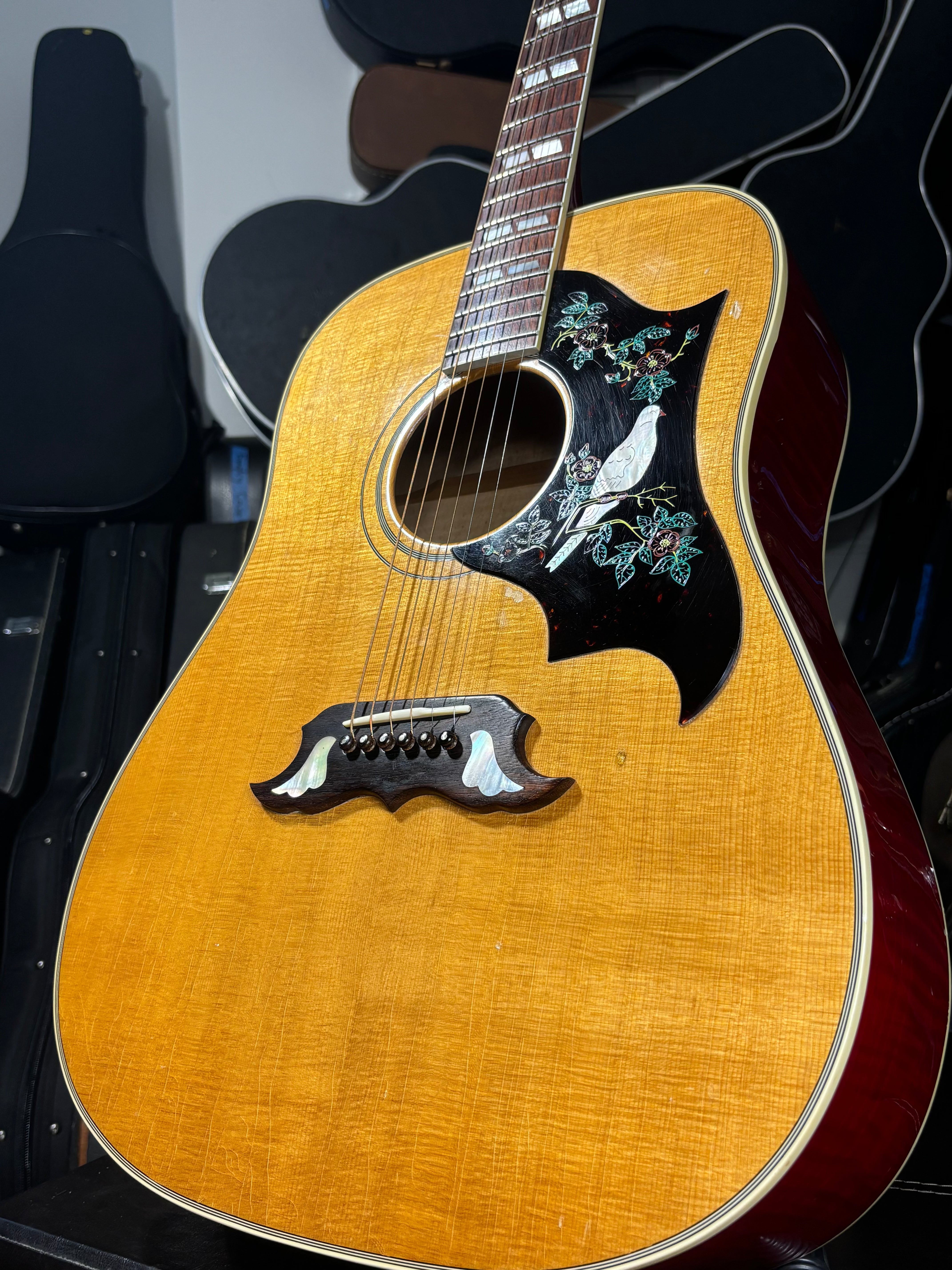 Gibson Dove – USA, 1993–1995 GiGi