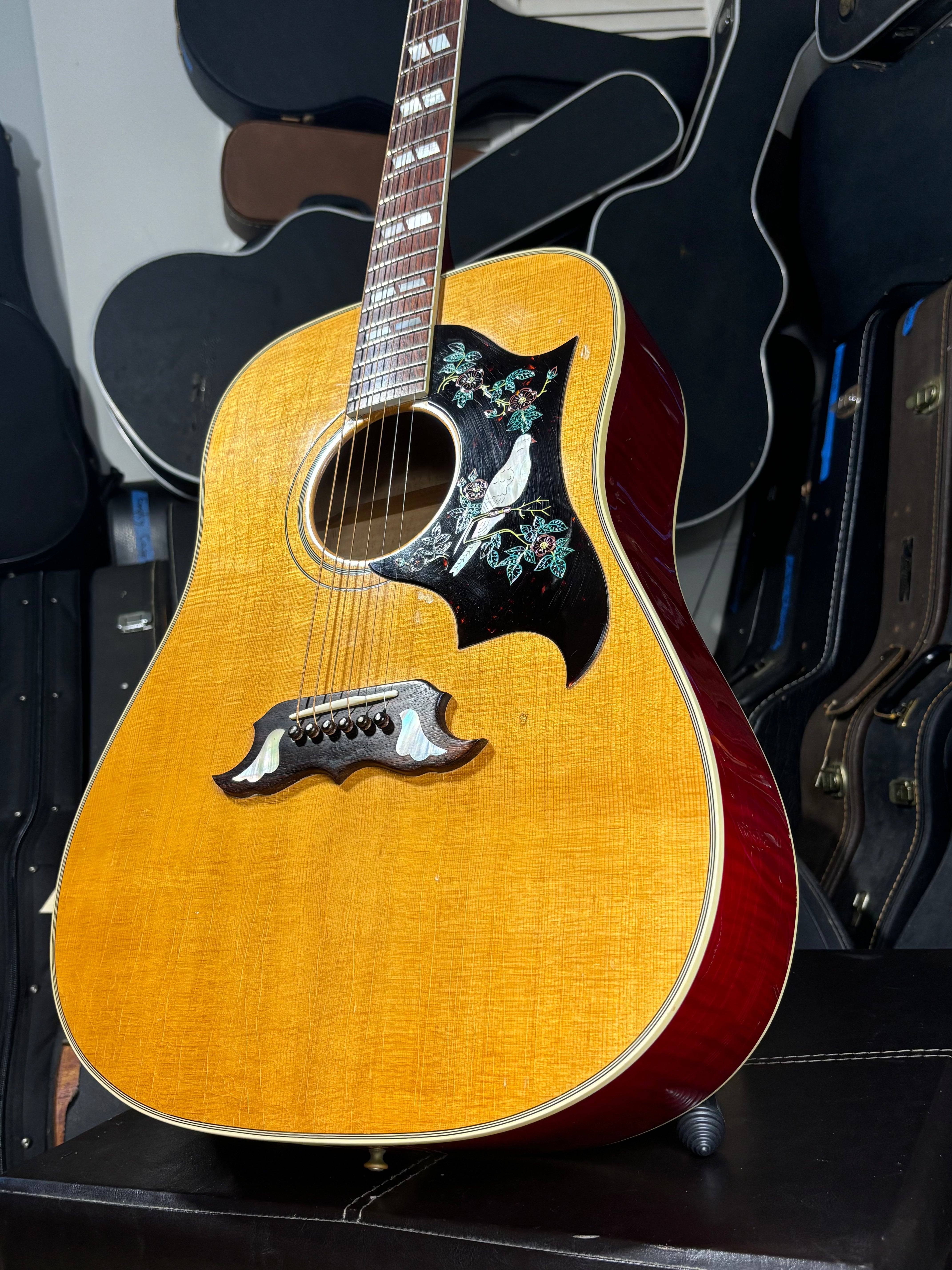 Gibson Dove – USA, 1993–1995 GiGi