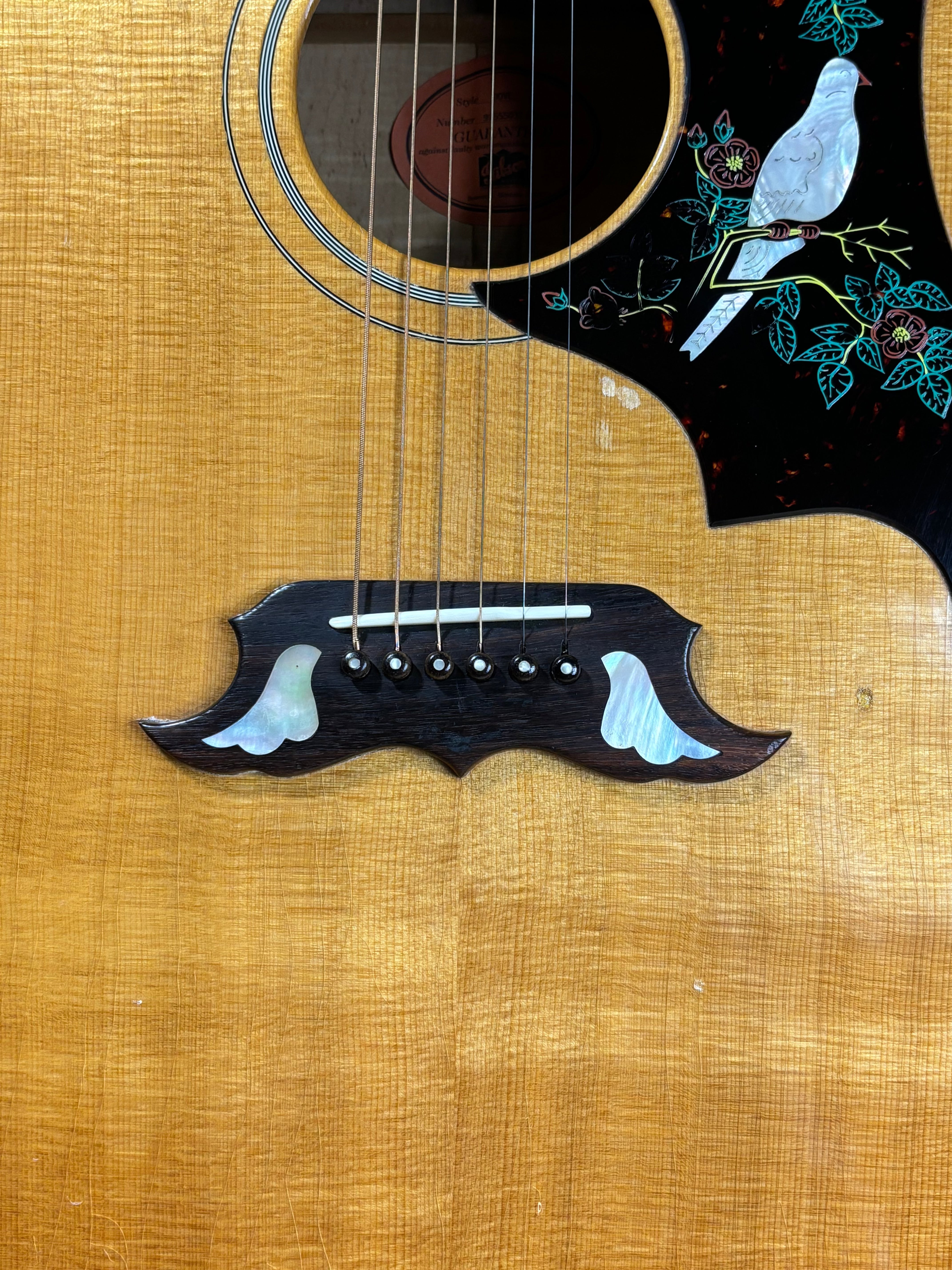 Gibson Dove – USA, 1993–1995 GiGi