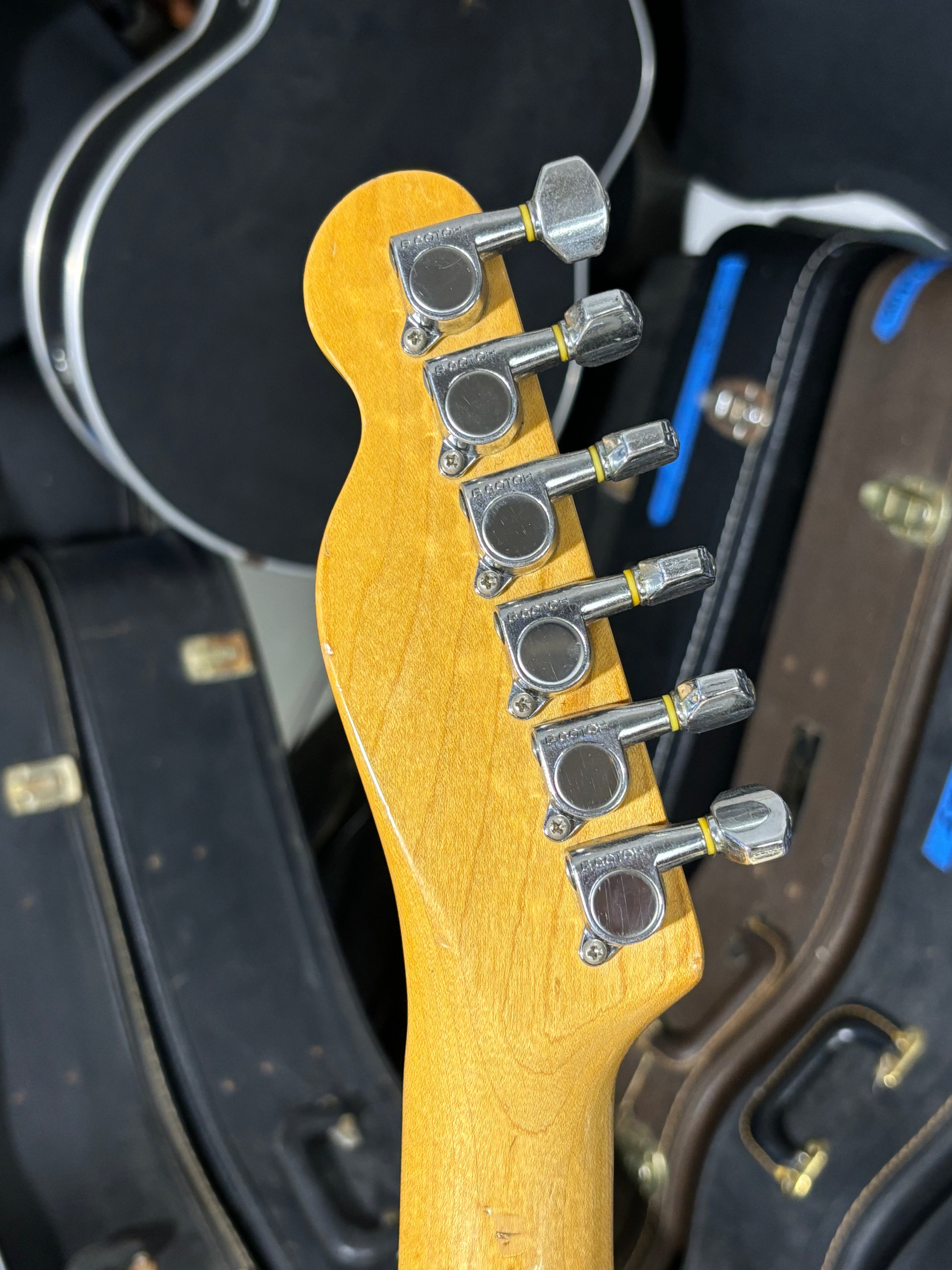 Fender Telecaster CTL-50M – 72' reissue - 1985/86 GiGi