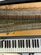 Rhodes Mark I –  Seventy Three – 1978 - Pins