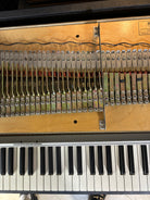 Rhodes Mark I –  Seventy Three – 1978