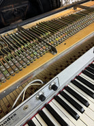 Rhodes Mark I –  Seventy Three – 1978 - Close Up