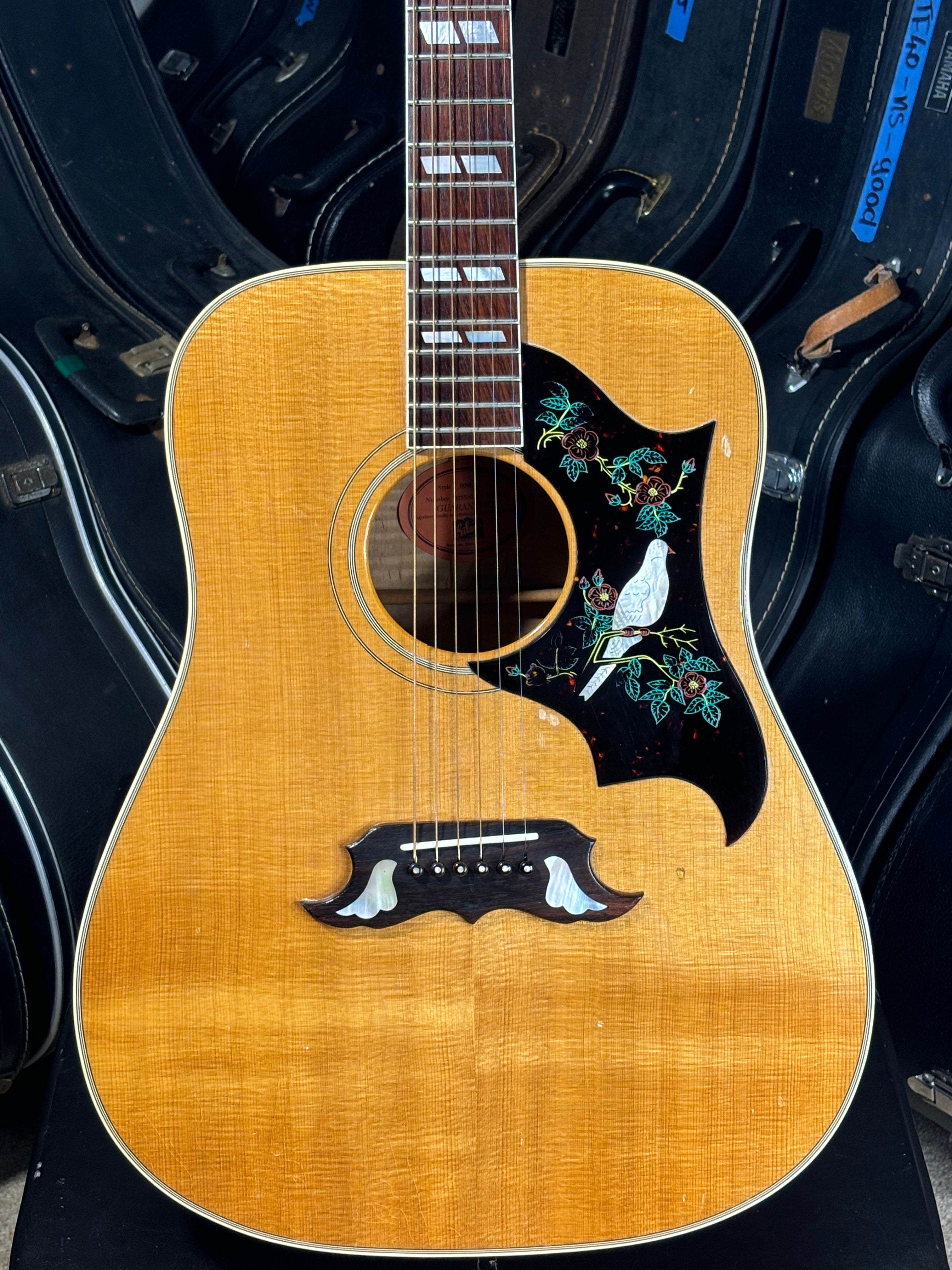 Gibson Dove – USA, 1993–1995