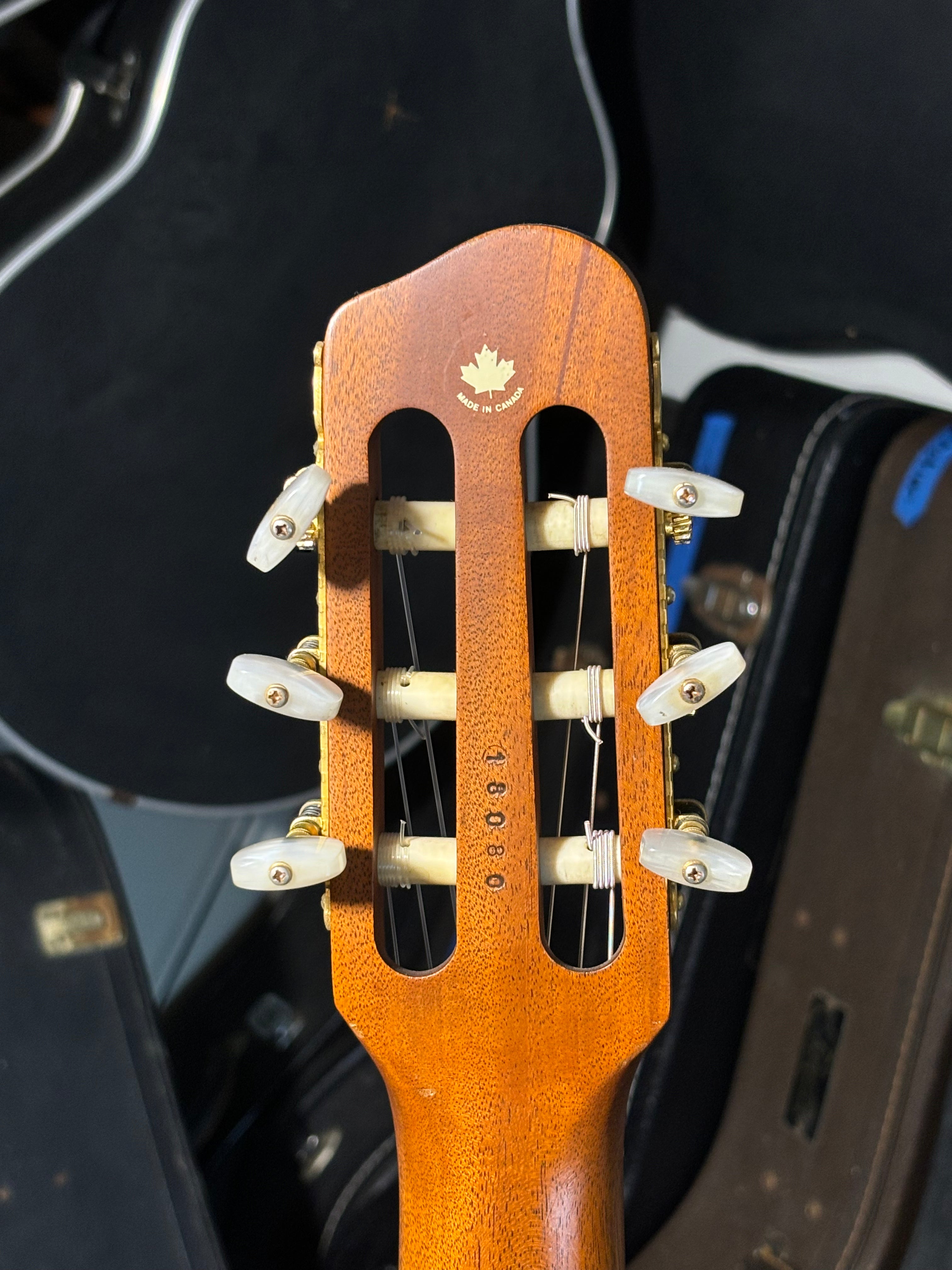 Godin Pre-Multiac – 1990s – Onyx Black